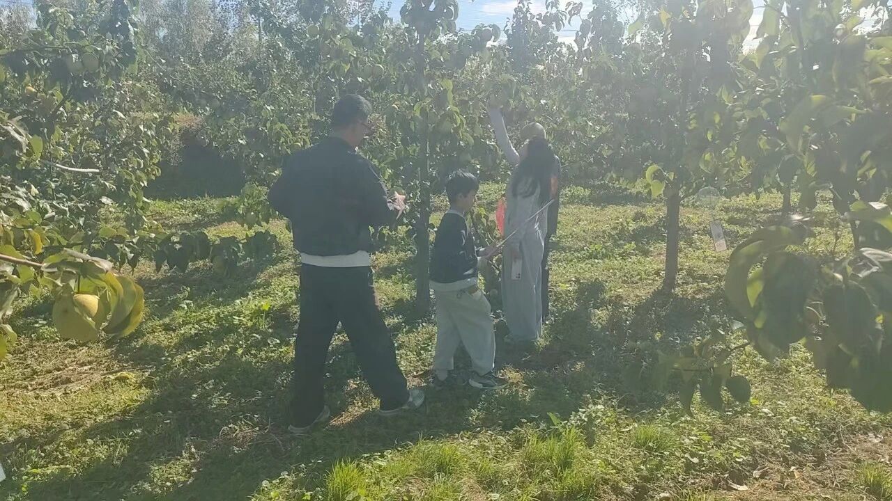 2026-10-10_132601_808.jpg