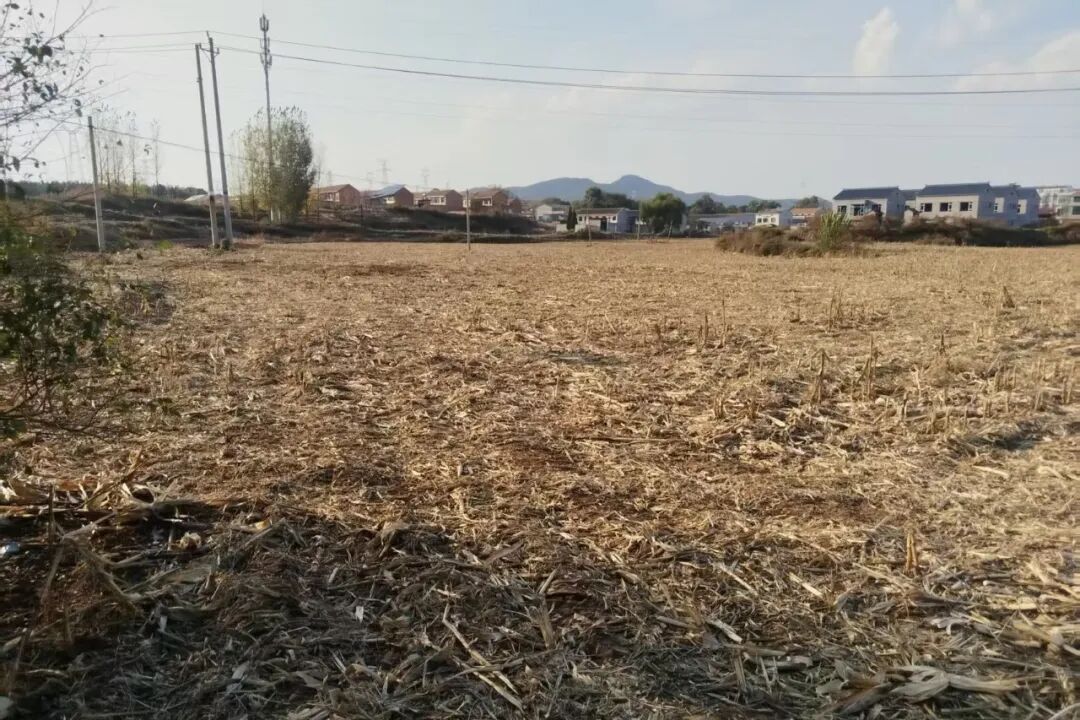 微信图片_2026-10-23_151110_970.jpg