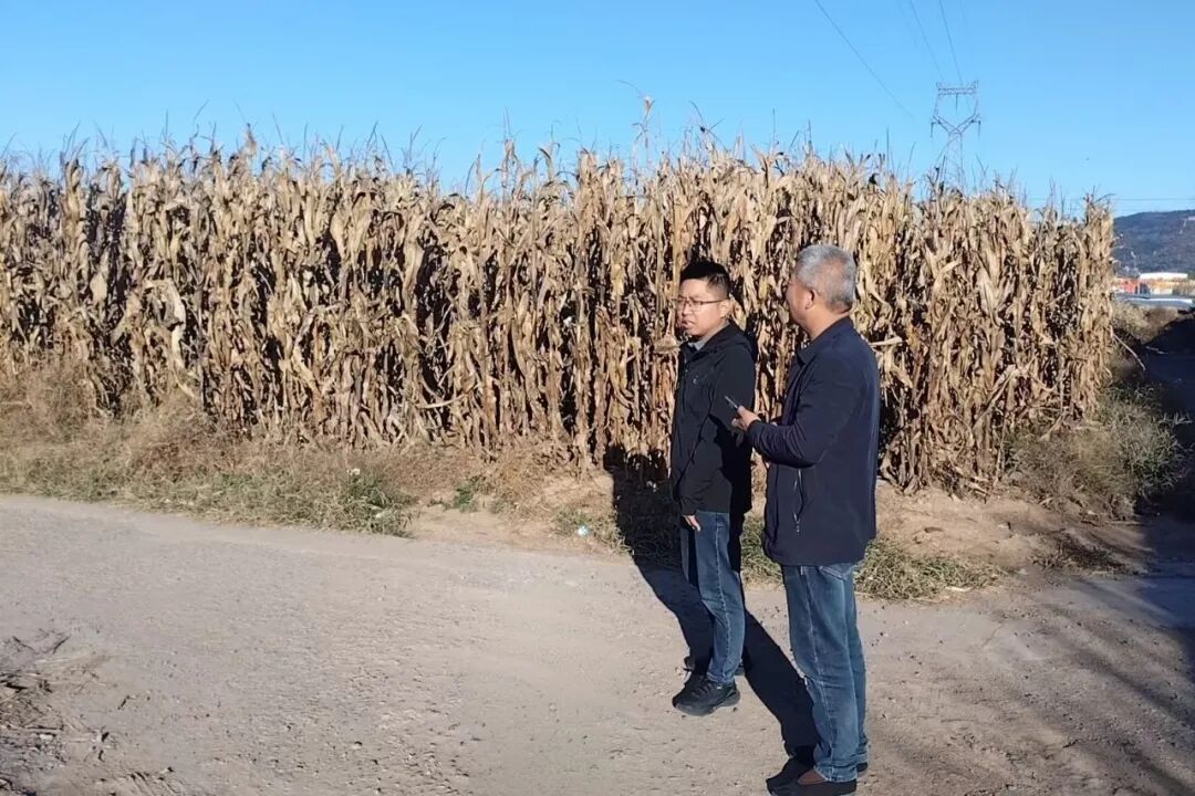 微信图片_2026-10-23_151126_922.jpg