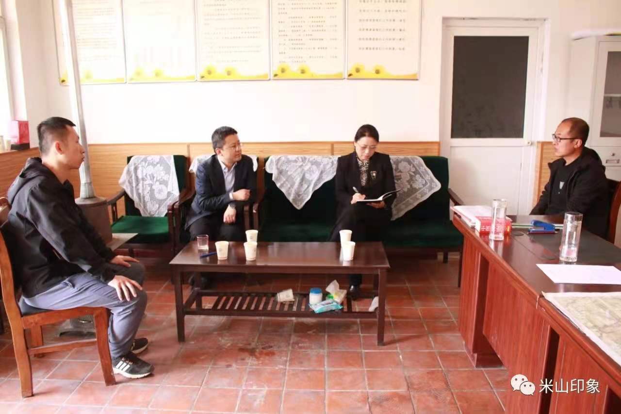 李素仙深入米山镇董寨村开展"我为群众办实事"活动实践调研